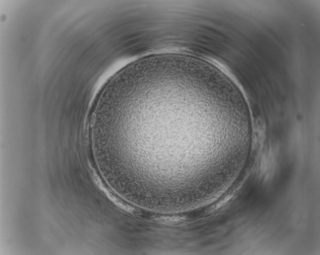 X0000057101053200509161650