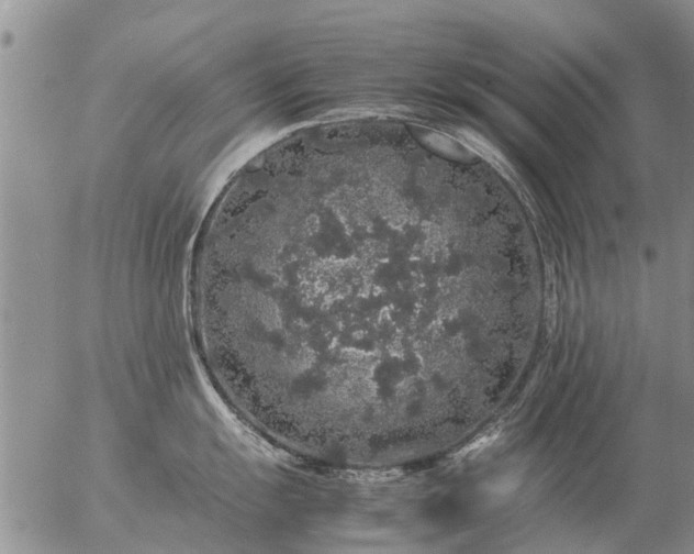 X0000057101055200509161650