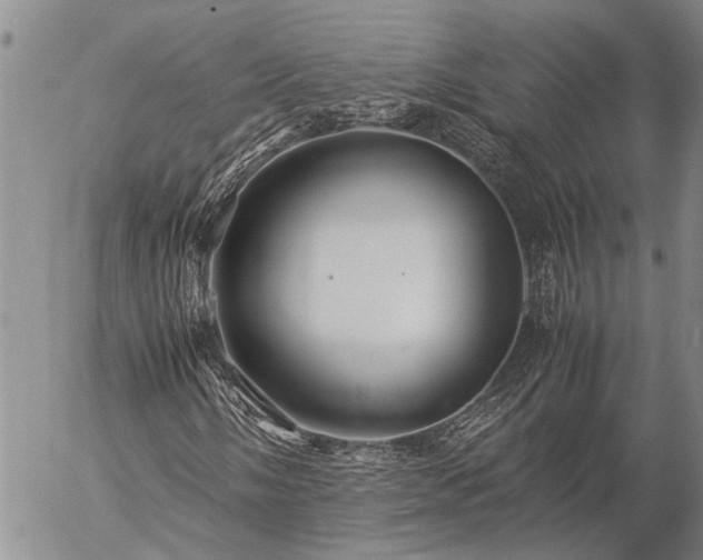 X0000057101058200509161649