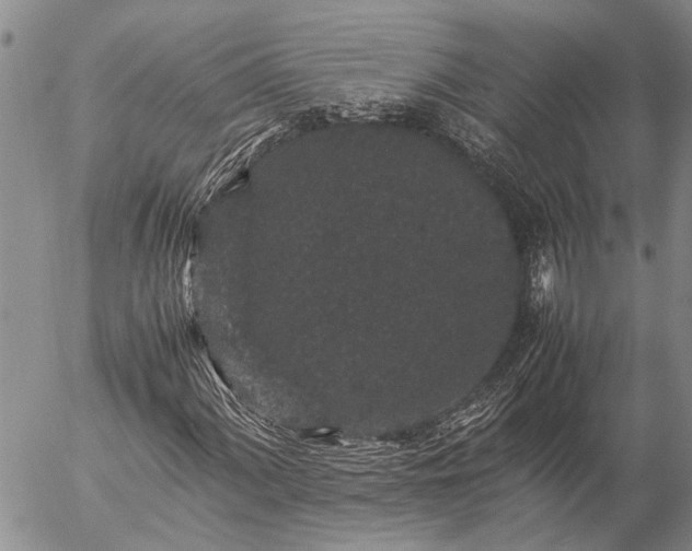 X0000057101060200509161649