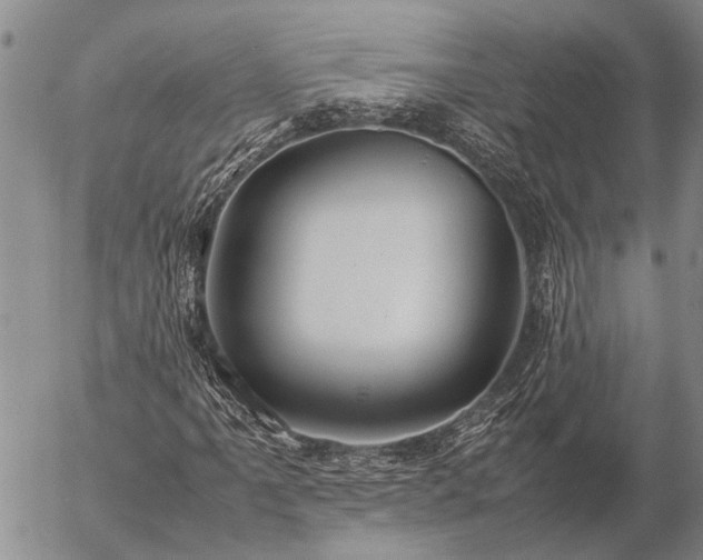 X0000057101061200509161649