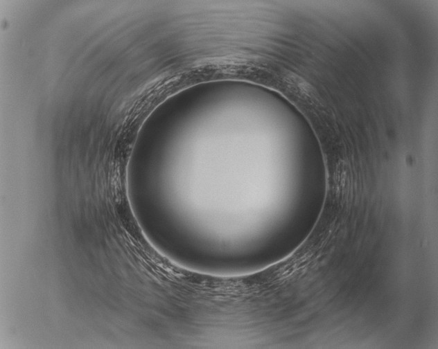 X0000057101062200509161649