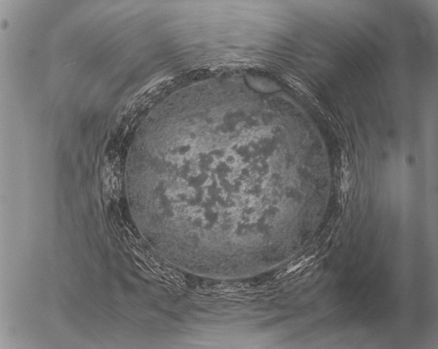 X0000057101063200509161649