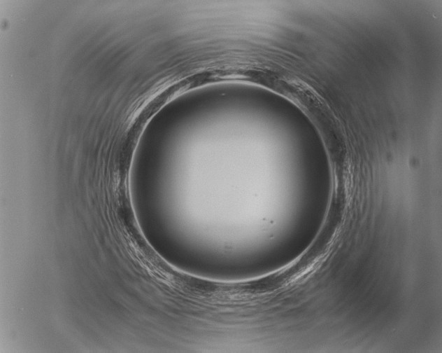 X0000057101065200509161649