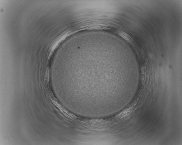 X0000057101067200509161649