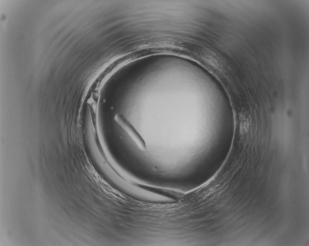 X0000057101068200509161649