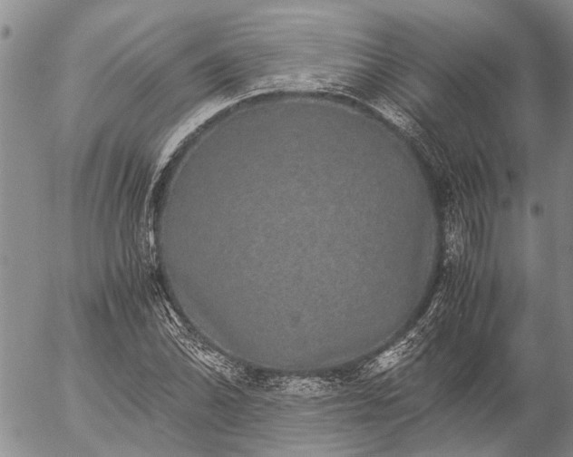 X0000057101070200509161649