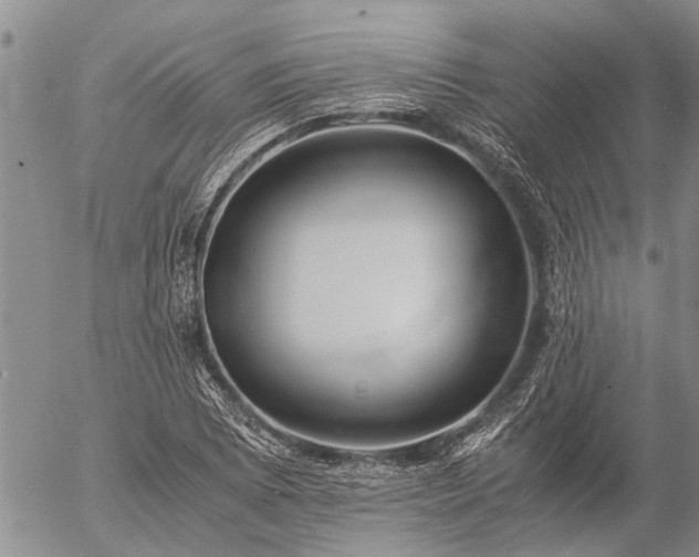 X0000057101073200509161649