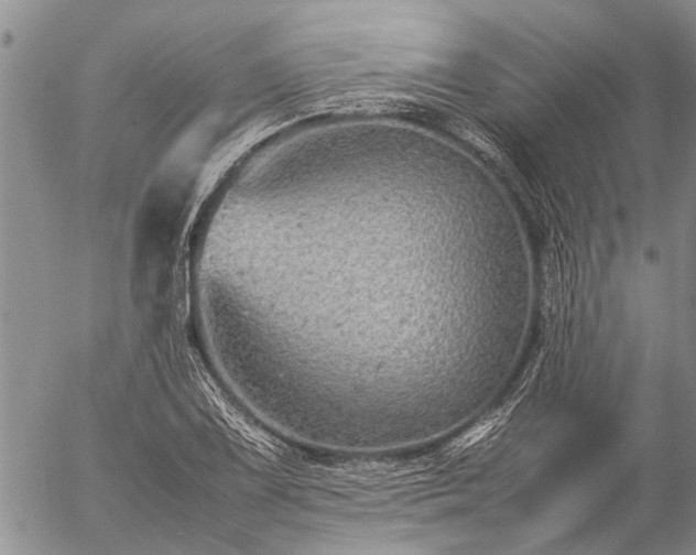 X0000057101075200509161649