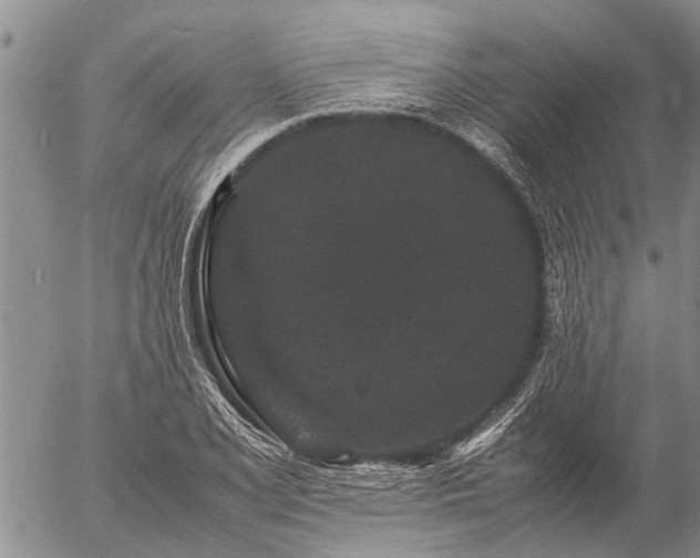 X0000057101077200509161649