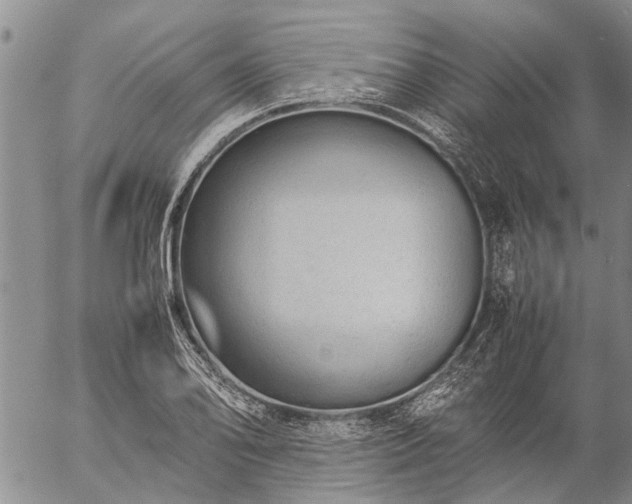 X0000057101078200509161649