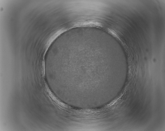 X0000057101079200509161649