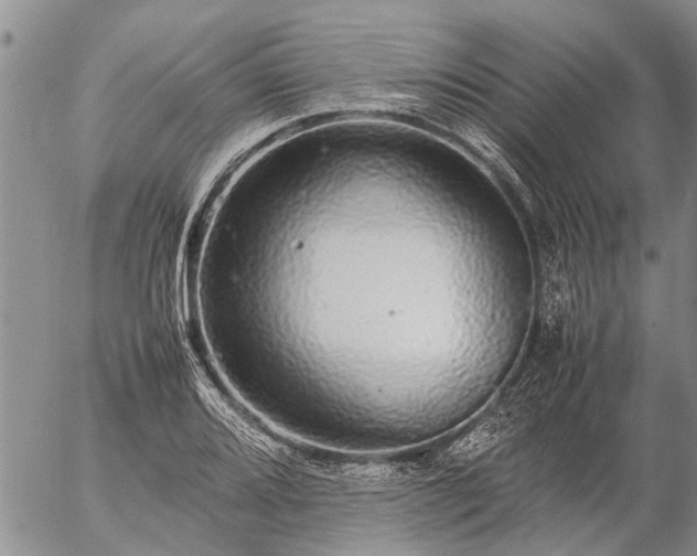 X0000057101080200509161649