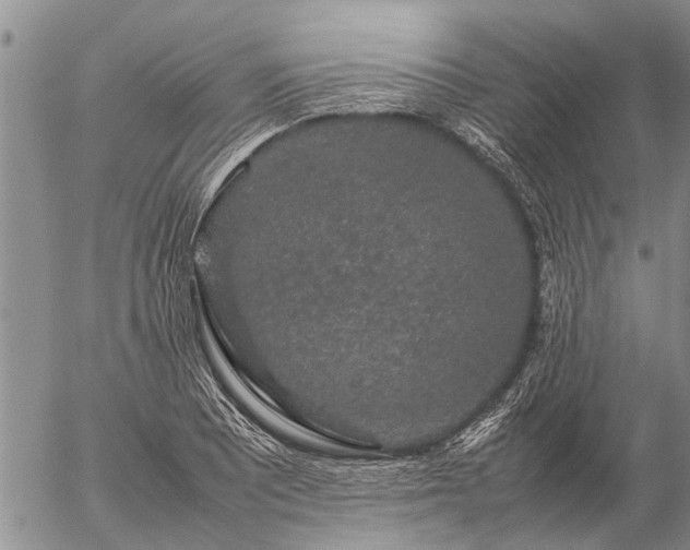 X0000057101081200509161648