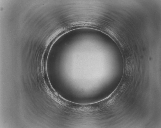 X0000057101082200509161648