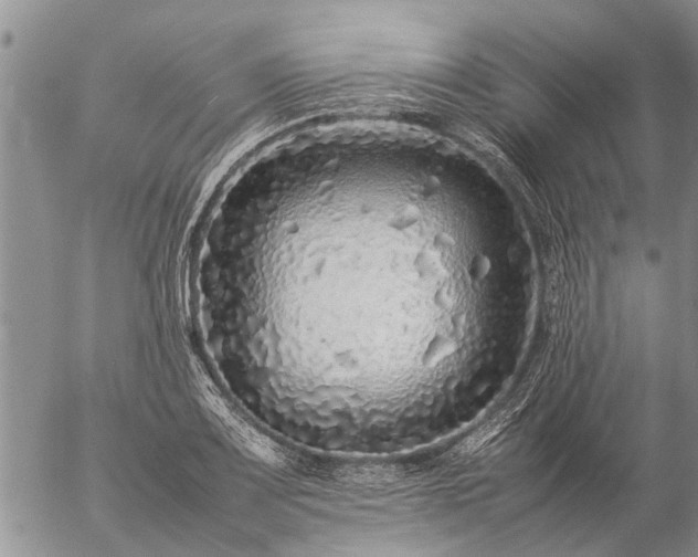 X0000057101083200509161648