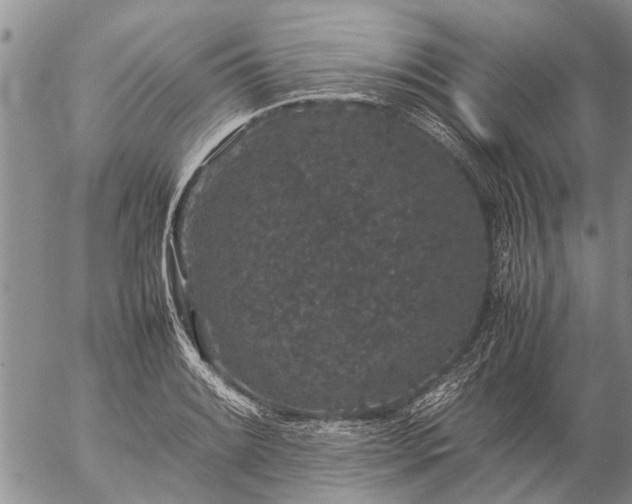 X0000057101084200509161648