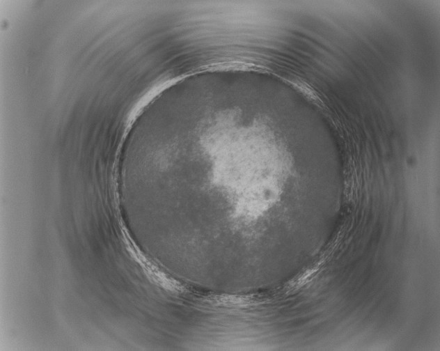 X0000057101086200509161648