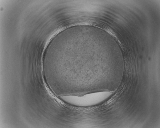 X0000057101088200509161648