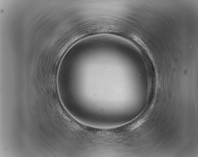 X0000057101089200509161648