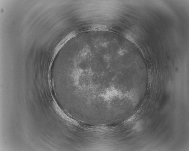 X0000057101090200509161648