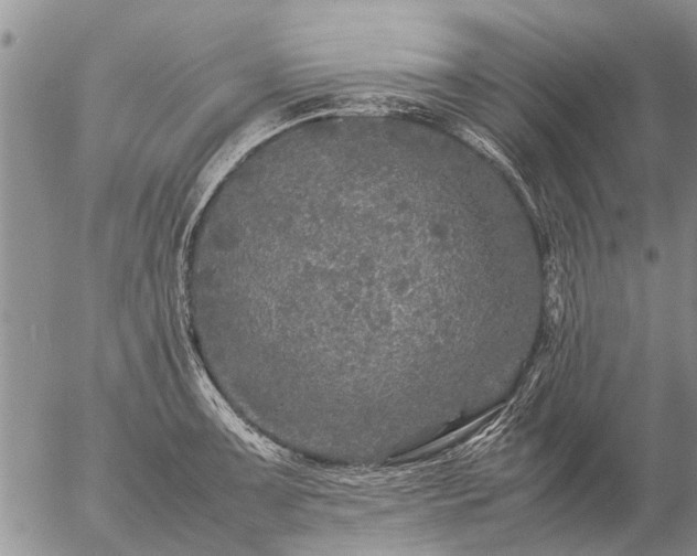 X0000057101091200509161648