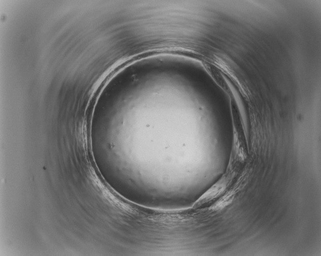 X0000057101092200509161648