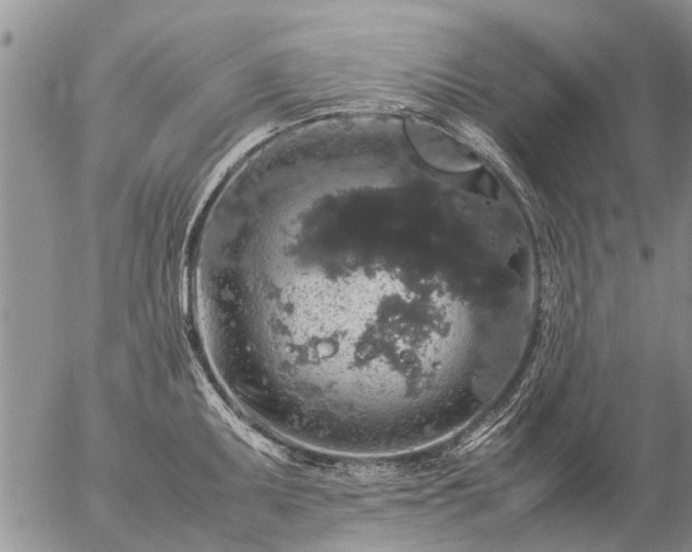 X0000057101095200509161648