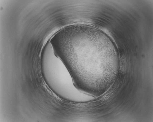 X0000057101096200509161648