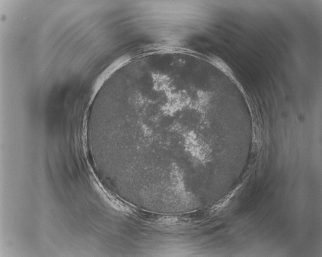 X0000057101098200509161648