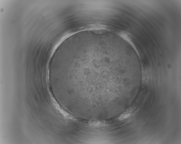 X0000057101099200509161648