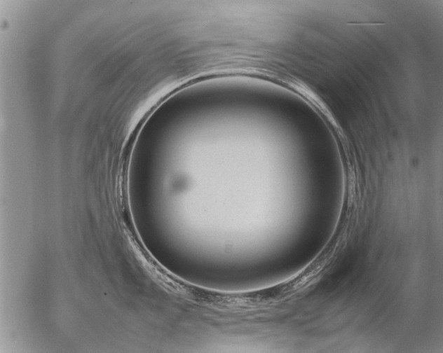 X0000057101101200509161648