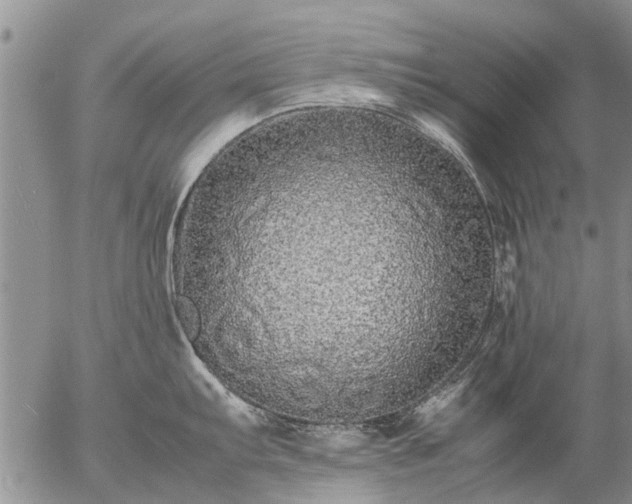 X0000057101103200509161648