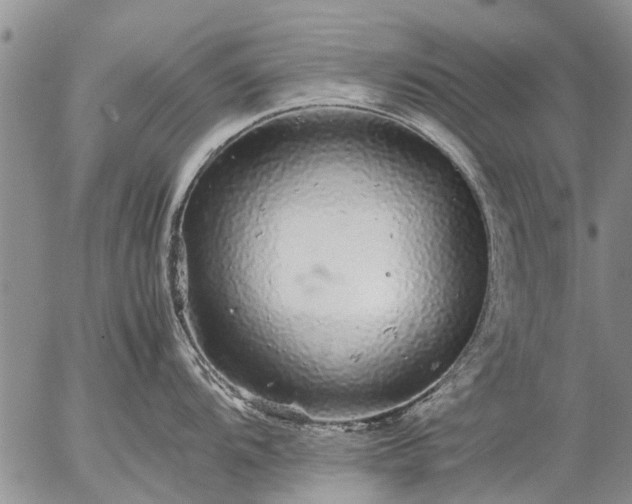 X0000057101104200509161648