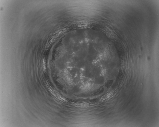 X0000057101106200509161647