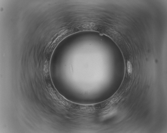 X0000057101107200509161647