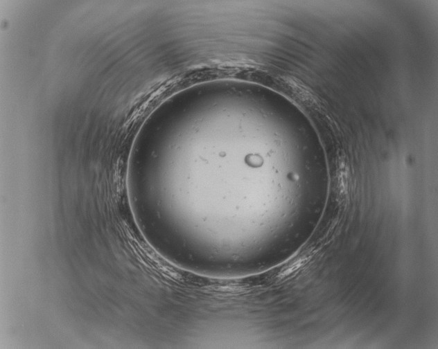 X0000057101110200509161647