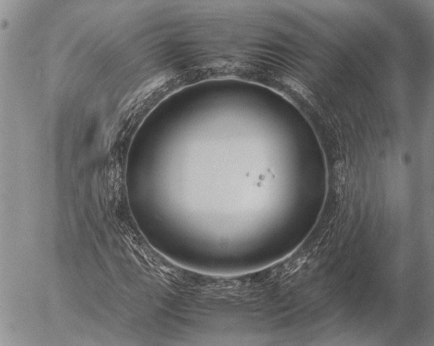 X0000057101111200509161647