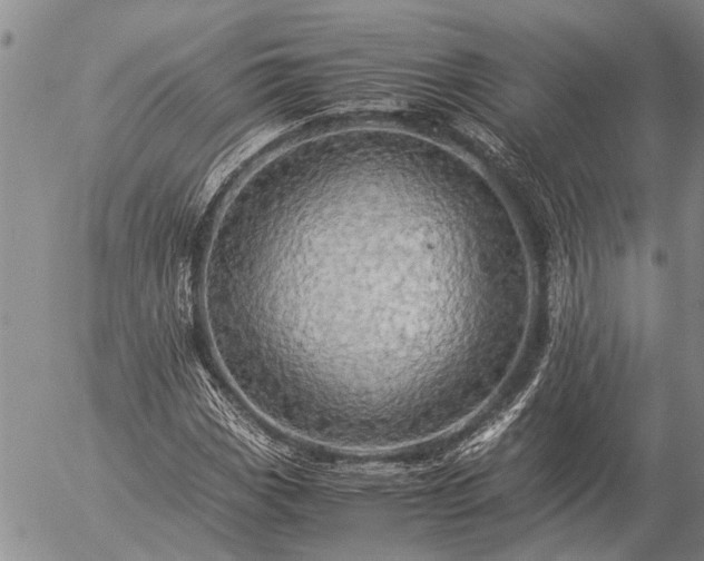 X0000057101113200509161647