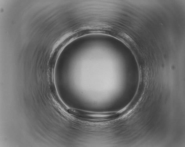 X0000057101114200509161647