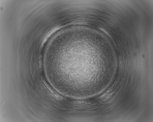 X0000057101115200509161647