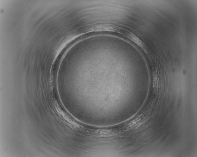 X0000057101116200509161648