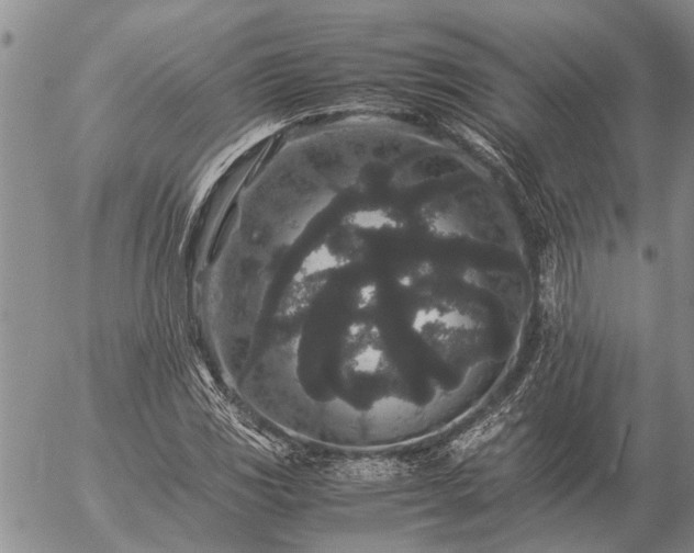 X0000057101117200509161648