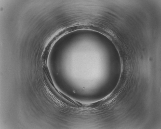 X0000057101118200509161648