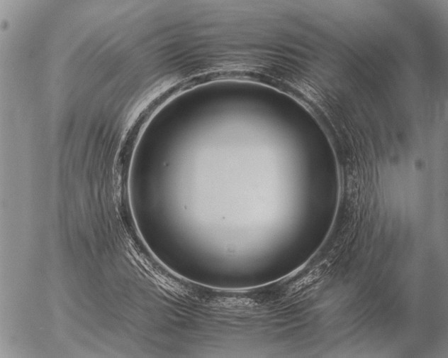 X0000057101119200509161648