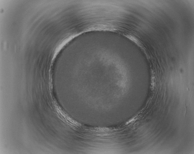 X0000057101120200509161648