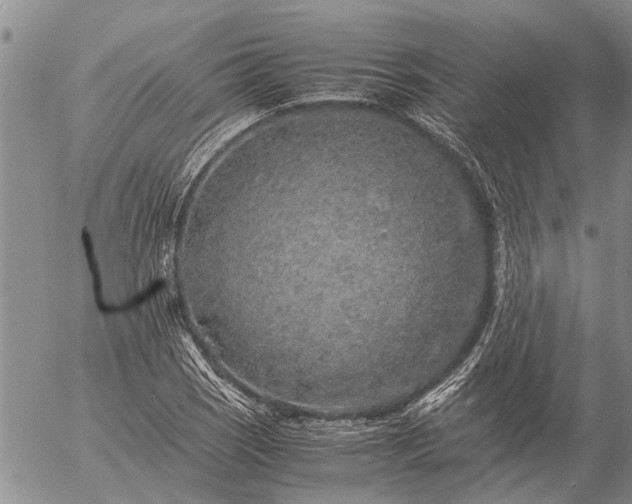 X0000057101121200509161648