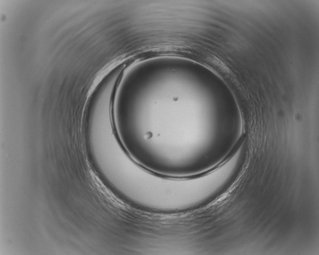 X0000057101122200509161648