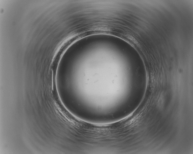 X0000057101123200509161648