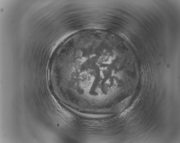 X0000057101125200509161648